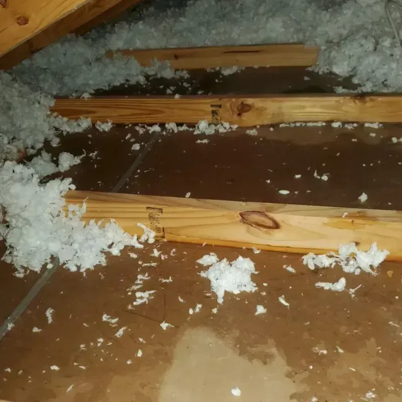 Attic Water Damage in Osburn, ID