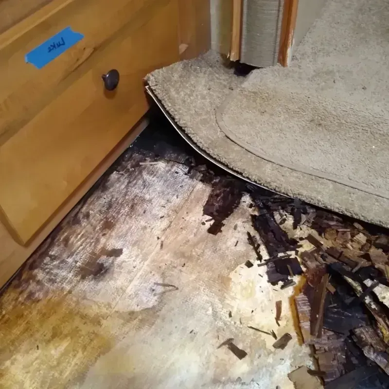 Wood Floor Water Damage in Osburn, ID